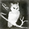 Silent Hunter Trophy