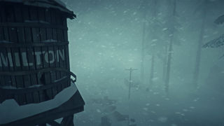 The Long Dark Screenshot 8