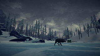 The Long Dark Screenshot 7