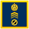 Survival Trophy