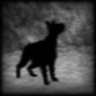 Cerberus Trophy