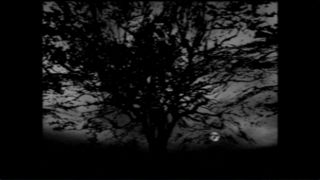 The Night Journey Screenshot 2