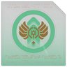 Veteran Medic Trophy