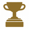 Win an arcade race in single player Trophy