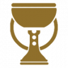 Win an arcade race in two player mode Trophy