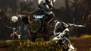 Kingdoms of Amalur: Re-Reckoning Screenshot 6