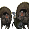 Turkey Hunting Legend Trophy
