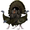 Turkey Hunting Veteran Trophy