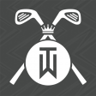 Earn Your Stripes Trophy