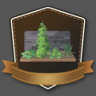 The Greenest of Thumbs Trophy