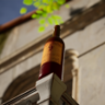 Special wine bottle found Trophy