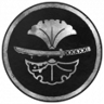The Vengeful Warrior Trophy