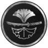 The Vengeful Warrior Trophy