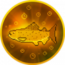 CHASING RAINBOWS Trophy