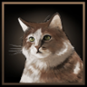Friendly paw Trophy