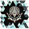 Owner of an Excellent Brain Trophy