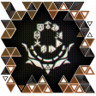 Link Expert Trophy