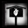 Follow your heart Trophy