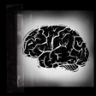 Follow your mind Trophy