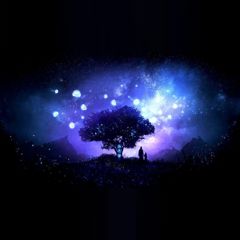 N.E.R.O.: Nothing Ever Remains Obscure
