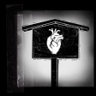 Follow your heart Trophy