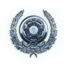 Regalia Pilot Trophy