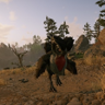 Hunter Trophy