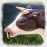 Veteran Rancher Trophy