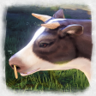 Veteran Rancher Trophy