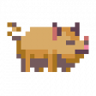 SOME PIG Trophy