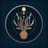 A new dawn Trophy