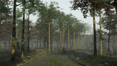 Pro Deer Hunting 2
