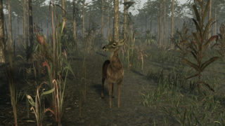 Pro Deer Hunting 2 Screenshot 3