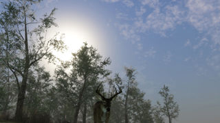 Pro Deer Hunting 2 Screenshot 8