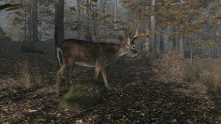 Pro Deer Hunting 2 Screenshot 4