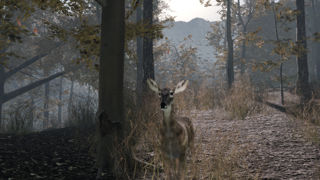 Pro Deer Hunting 2 Screenshot 9