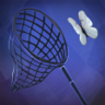 Butterfly catcher Trophy