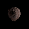 The Cosmic Caretaker Trophy