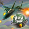 Silver Fighter Trophy