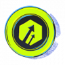 Maestro Trophy