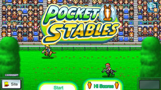 Pocket Stables Screenshot 2