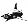 Shark Life Trophy
