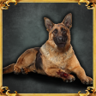 A human's best friend Trophy