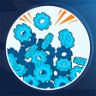 What do I do with so many? Trophy