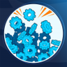 What do I do with so many? Trophy