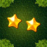 Rising Star Trophy