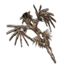 Azure Nightmare Trophy