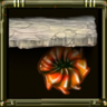 RAID Trophy