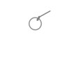 Ring Trick Trophy