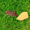 Mouse Manipulator Trophy